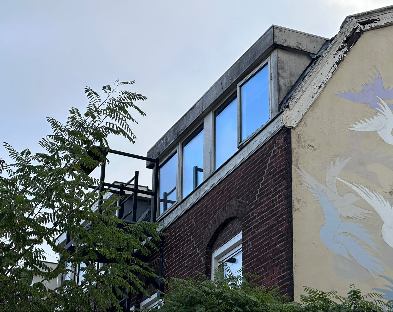 Before transformation